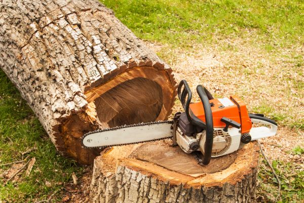Tree Cutting Service in Saint Charles